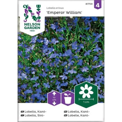 Lobelia de borde 'Emperor William'