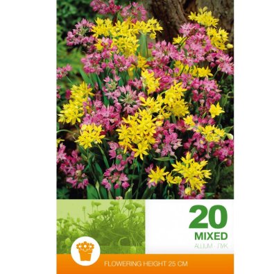 Allium Mix