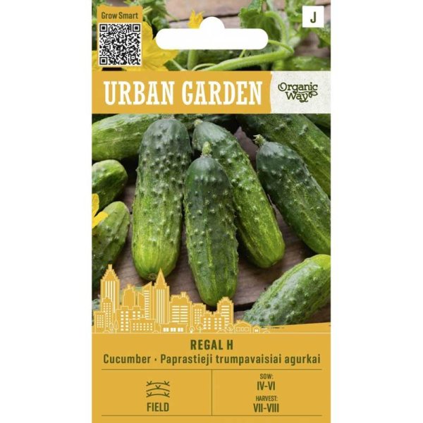 Pepino ’Regal H’