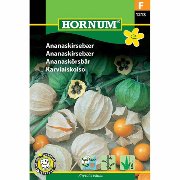 Physalis peruviana