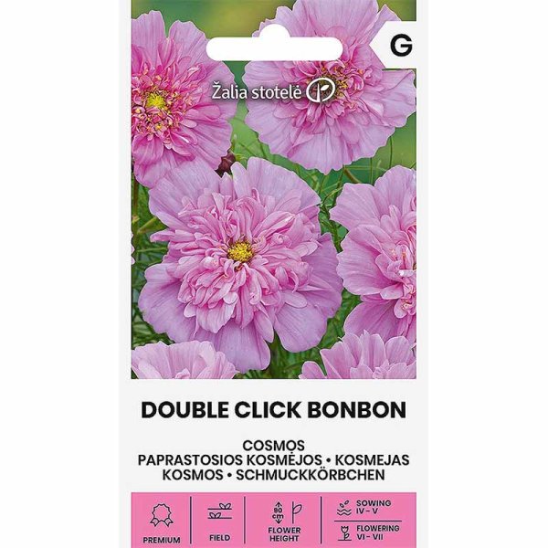 Cosmos 'Double click bonbon'