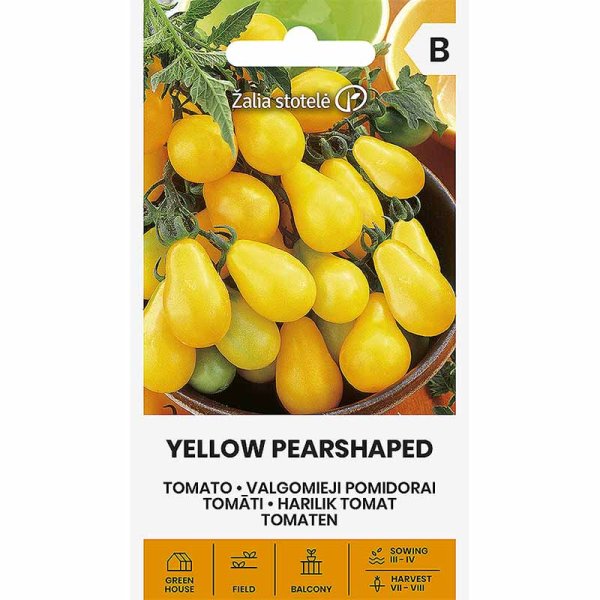 Tomate pera 'Yellow pearshaped'