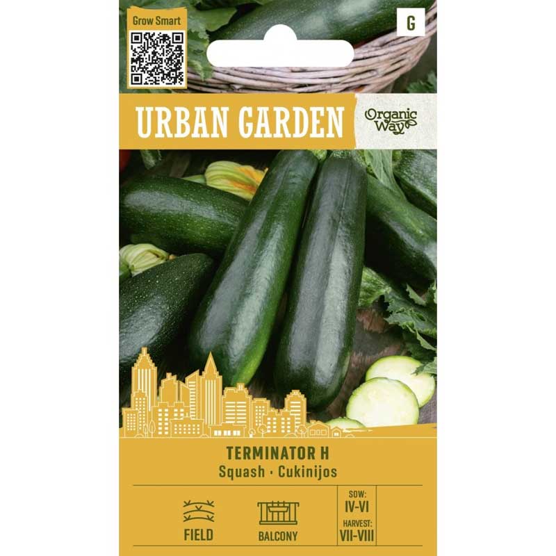 Calabacín ’Terminator H’