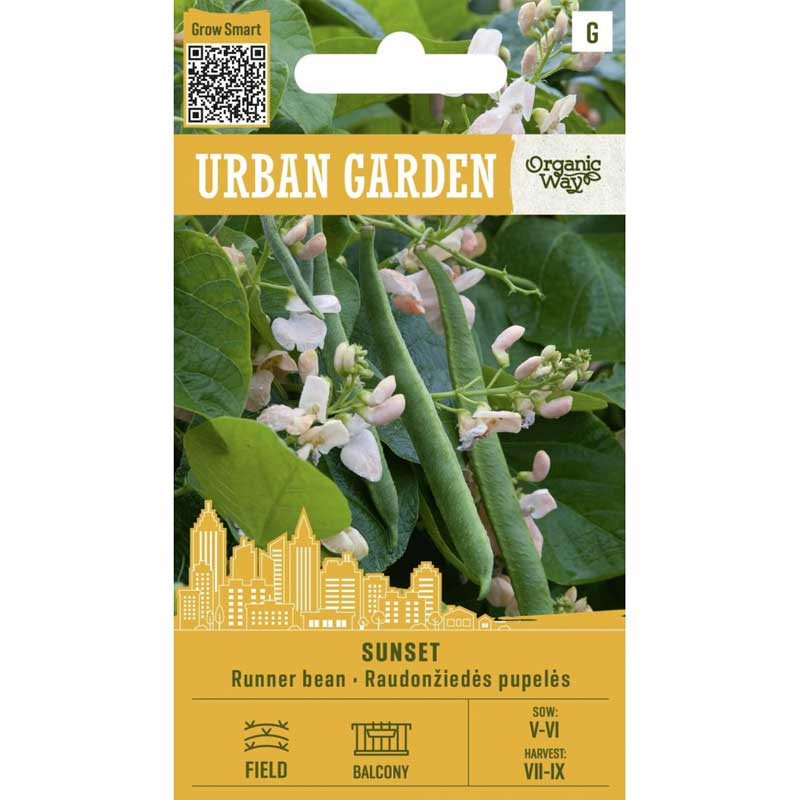 Judía de enrame ’Sunset’