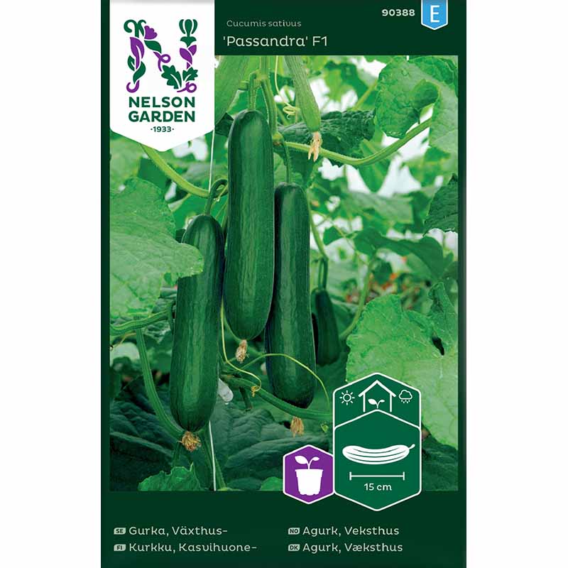 Pepino 'Passandra'F1