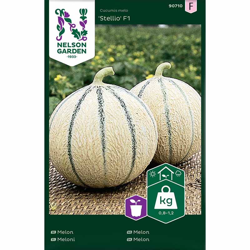 Melón 'Stellio'F1