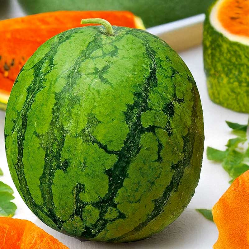 Sandía 'Primaorange' F1