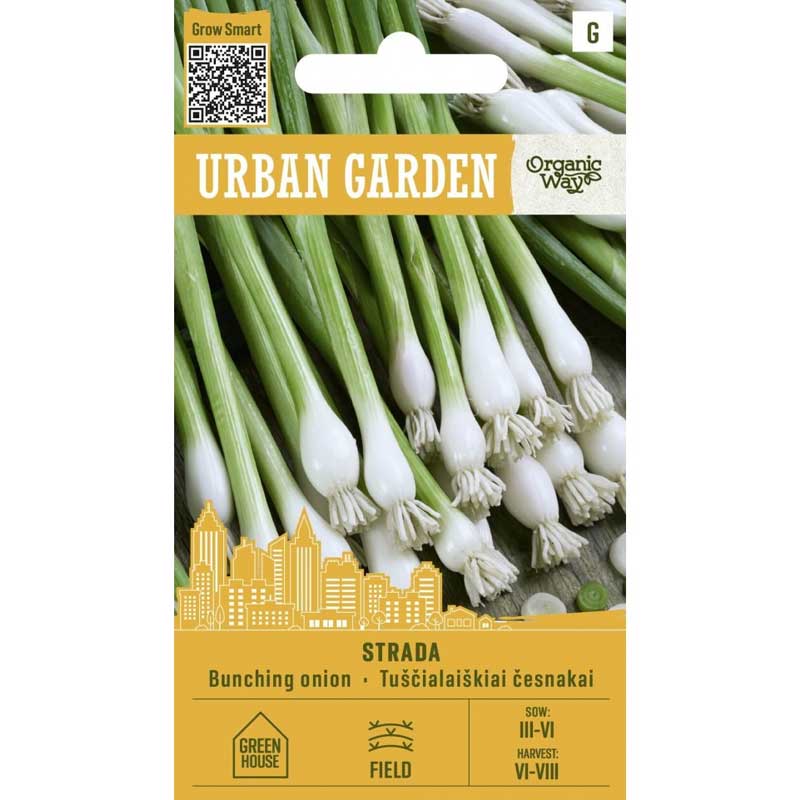 Cebolla de invierno ’Strada’