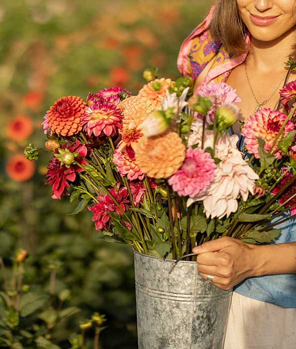 Semillas de flores