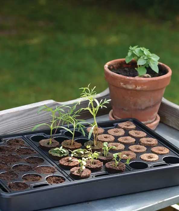 Accesorios de cultivo